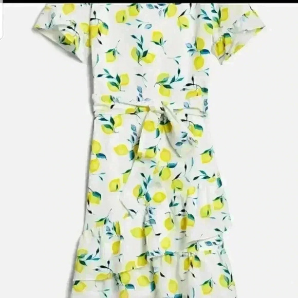 Banana Republic Frill Fit And Flare Lemon Print Dress - Picture 3 of 11